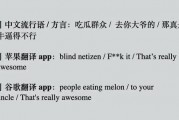 吃瓜群众英文翻译怎么写,From 'Eating Watermelons' to 'Gossipy Spectators: Decoding the English Translation of 'Eating the Cucumber Audience'
